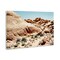 Stupell Industries Arid Desert Scenery Canvas Wall Art Design by Debbie O'dell
